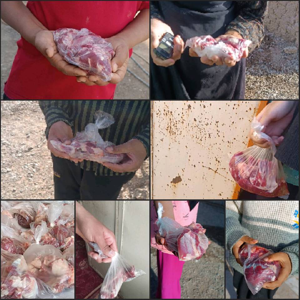 نحر77 قربانی مشارکتی