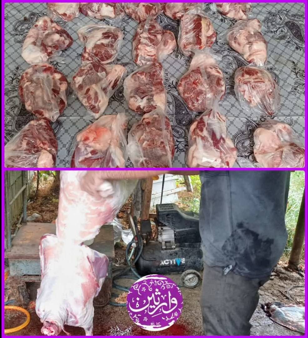 نحر68 «قربانی مشارکتی»