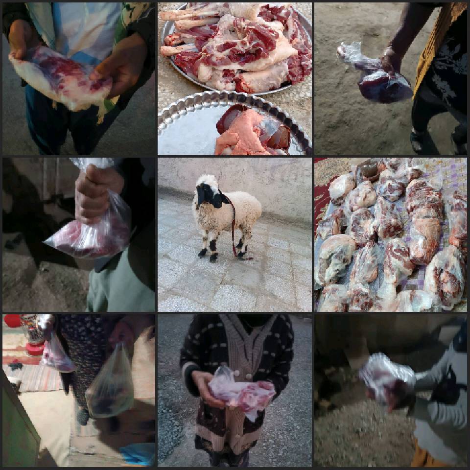 نحر72«قربانی مشارکتی» 