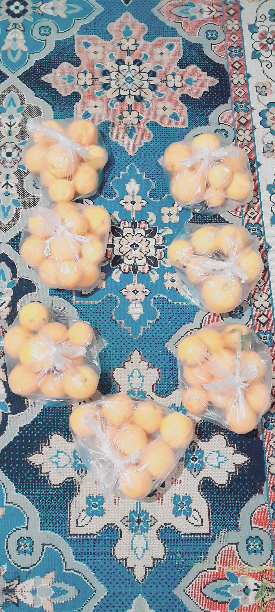 نیکی 801 به یاد امام باقر علیه السلام